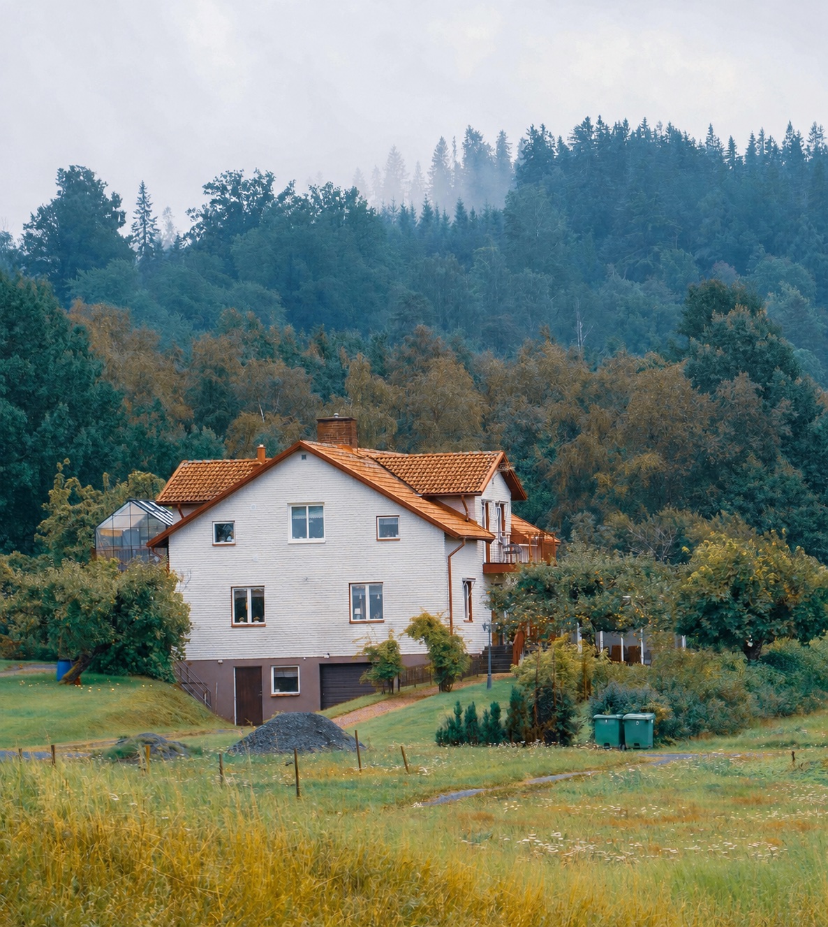 Vivienda en un valle junto al bosque